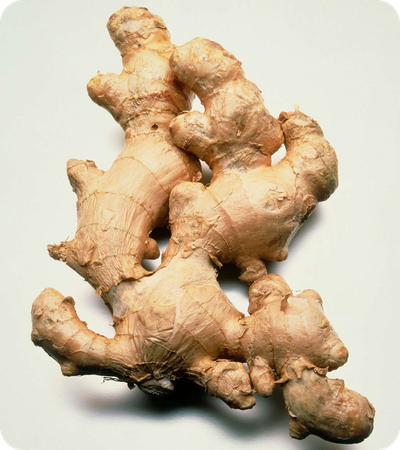 Ginger