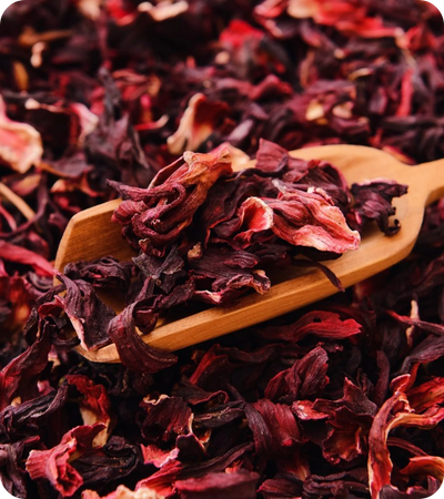 Hibiscus